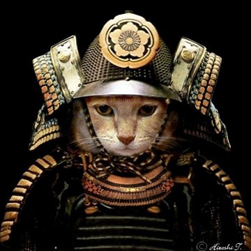 Samurai LOL