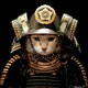 Samurai LOL