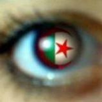 glams-algeria