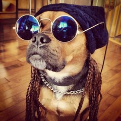 dokonlin.ru