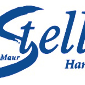 Stella St-Maur Handball