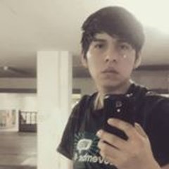 Luis Enc Med