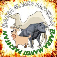 Cow Mandi