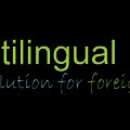 Pie Multilingual