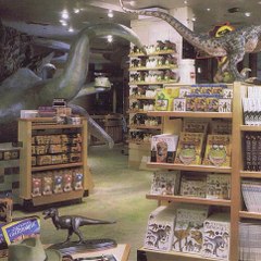 Architectural Design