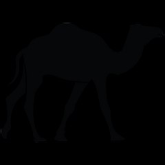 Desert Morocco Tours S.A.R.L