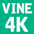 VINE COMPILATIONS 4K