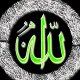 Sajjad Ahmed