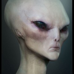 AT-FB