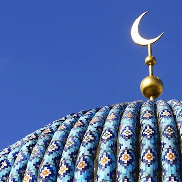 Muhammadomer2050