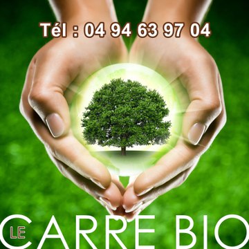 Le carre bio ollioules