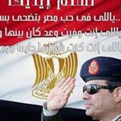 محمدشوقى ابوعلى