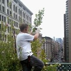 New York Plantings Landscape Designers