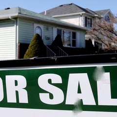 David Lichtenstein Investor