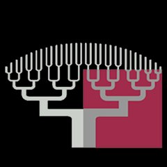 Université Paris Descartes