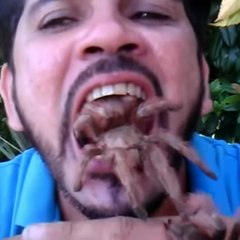 ARTEVALDUARTE