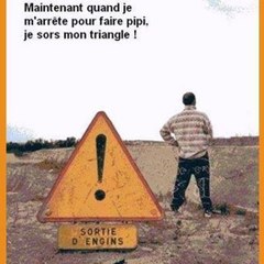 rexo 77
