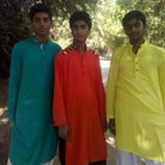 Ali Hamza