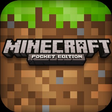 Minecraft Blog Info