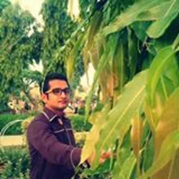 Kashif Mushtaq