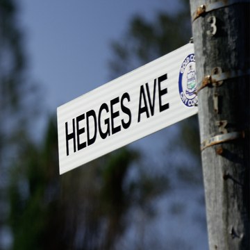 HedgesAve