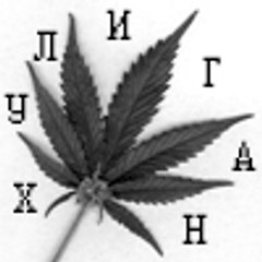 perbcrosotri1976