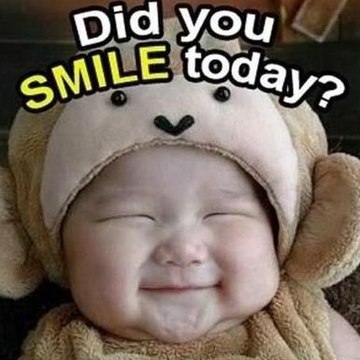 Funny Collection
