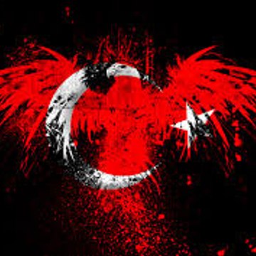 Youlost Tr
