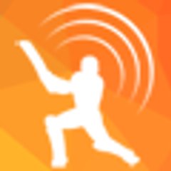 streamcric