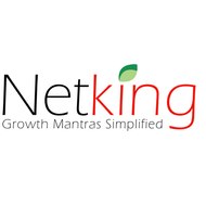 Netking Web Services Pvt Ltd