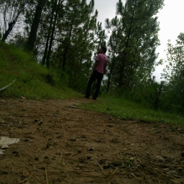 Hammad Jamil
