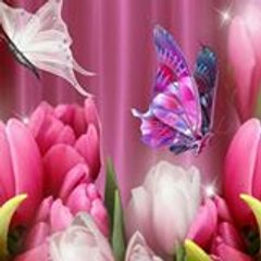 Mysha Naz