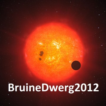 BruineDwerg2012