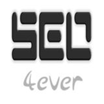 SEO4ever