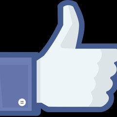 Facebook Buzz