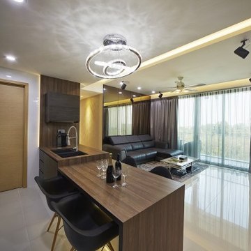 Singapore HDB Interior