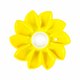 Little Sun