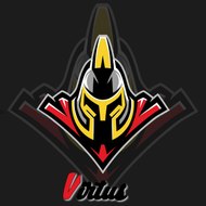 Virtus eSport