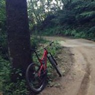 David Mellado Montes