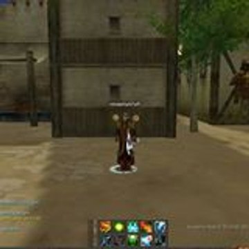 Funny Videos and Everything