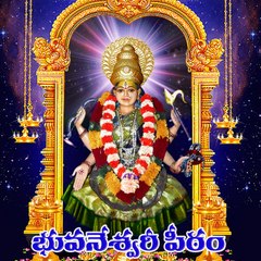 Chintagopisarma