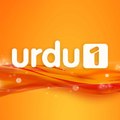 urdu1tv's Dailymotion Stats'