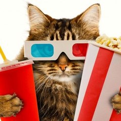 Update Movie