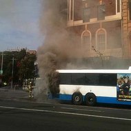 Exposing Sydney Buses