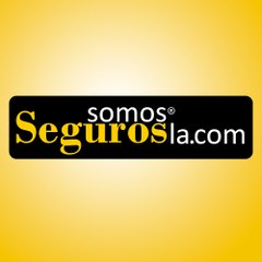 Somos Seguros TV