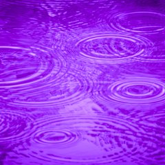 PurpleRainUK