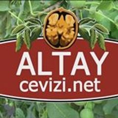Altay Salkım Ceviz