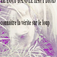 Ouragan Pierre