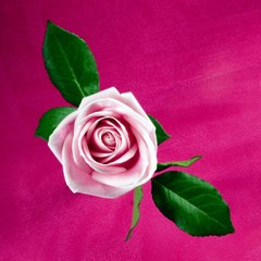 Muhammadhasnain