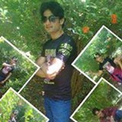 Kashif Shahzad